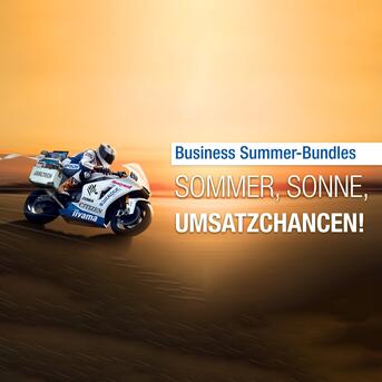 Business Summer-Bundles